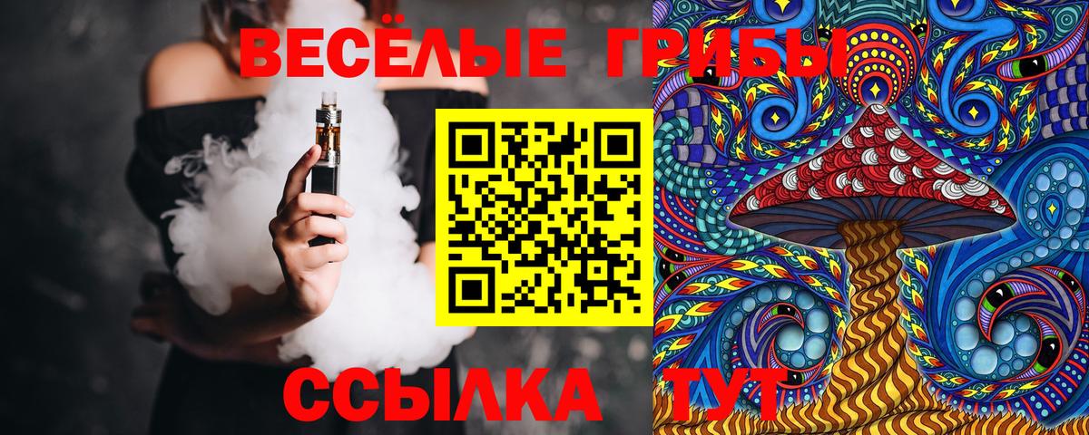 Псилоцибиновые грибы GOLDEN TEACHER Новомосковск