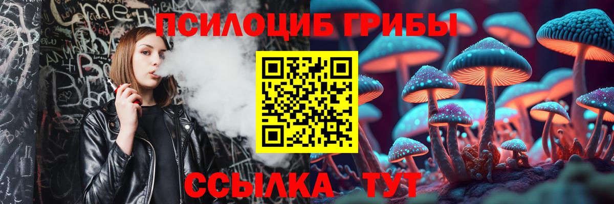 купить  сайты  Вход с VPN  Новомосковск  Псилоцибиновые грибы мицелий  Псилоцибиновые грибы ЛСД 